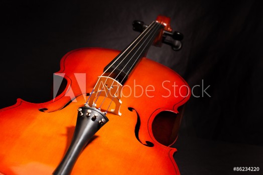 Picture of Violoncello body view on the black background